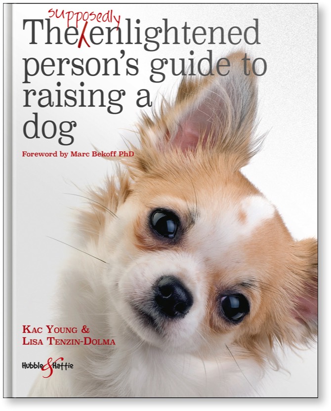 the-supposedly-enlightened-persons-guide-to-raising-a-dog