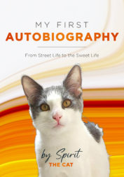 my-first-autobiography-from-street-life-to-the-sweet-life