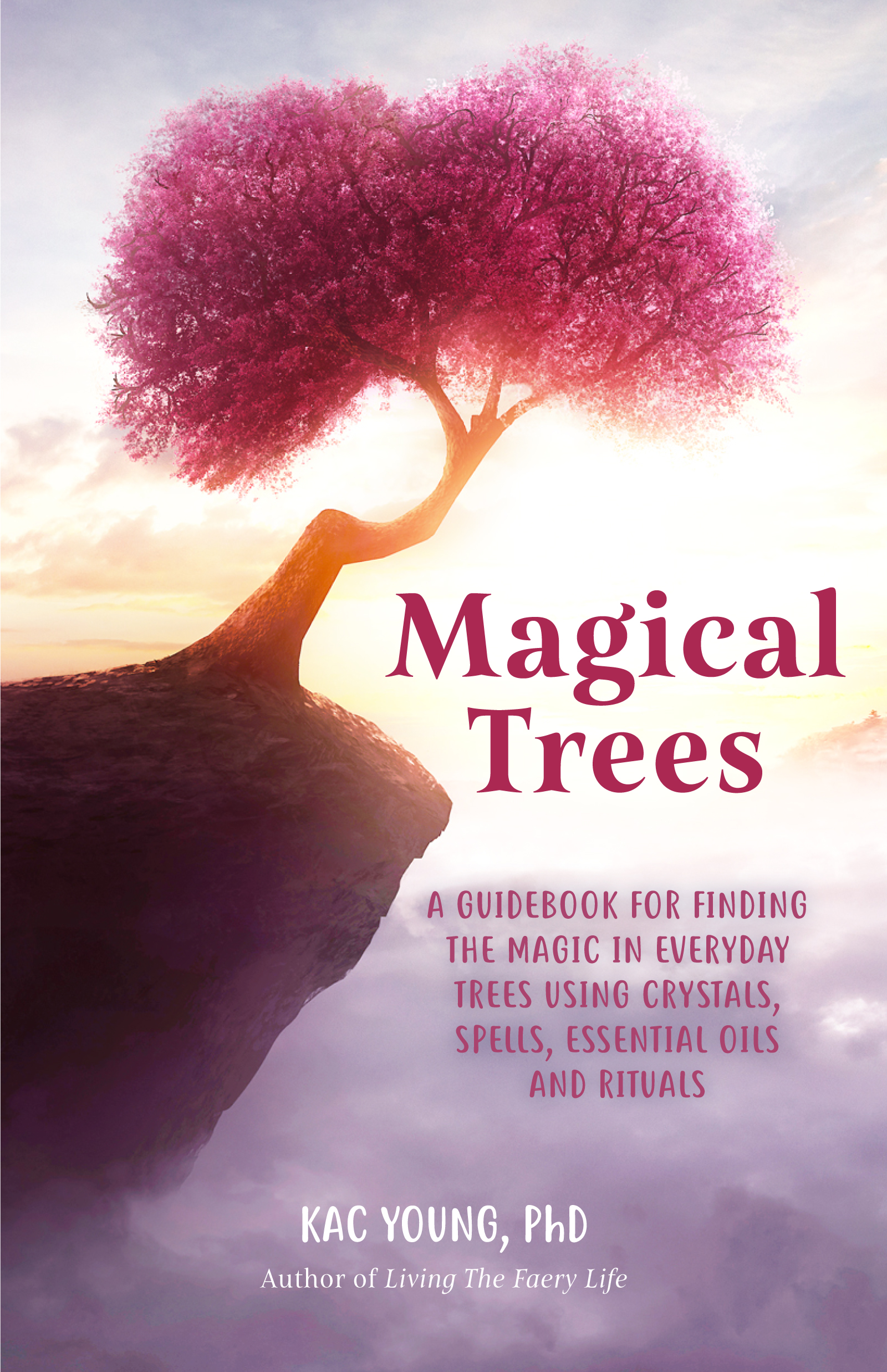 magical-trees-a-guidebook-for-finding-the-magic-in-everyday-trees