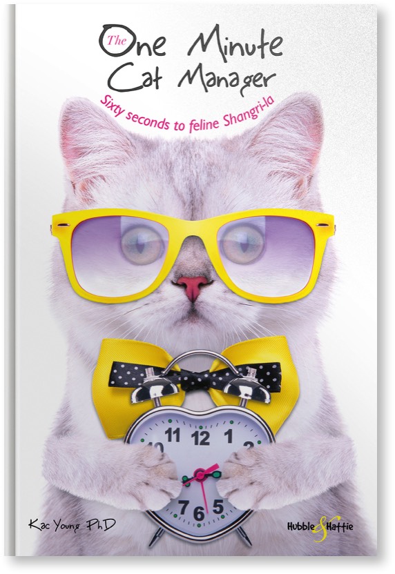 the-one-minute-cat-manager